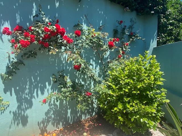 Serralves Blue House Villa Porto Dış mekan fotoğraf